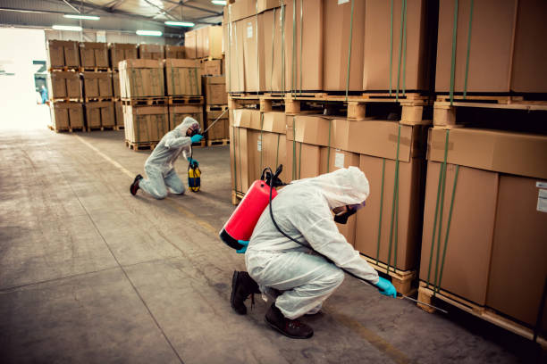Best Pest Prevention Services  in Plantation, FL