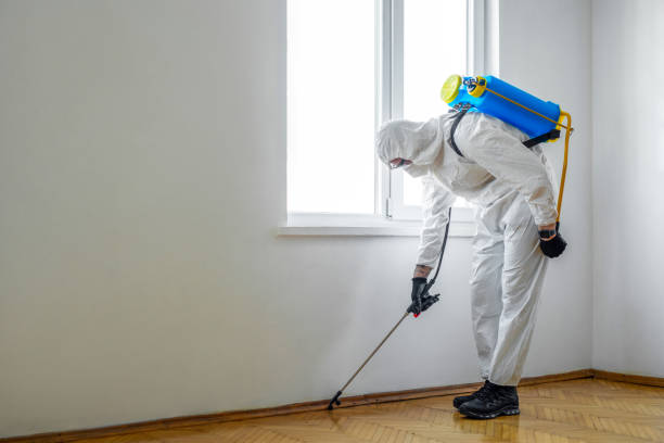 Best Best Pest Control Companies  in Plantation, FL