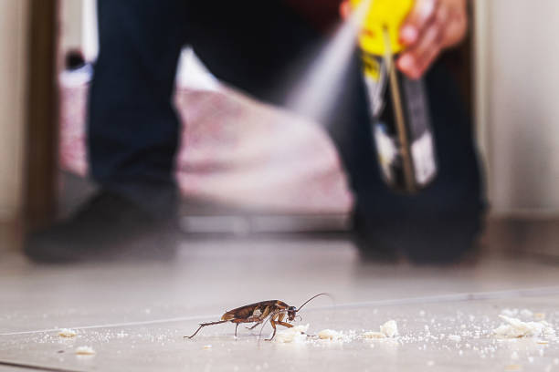 Pest Control Cost in Plantation, FL