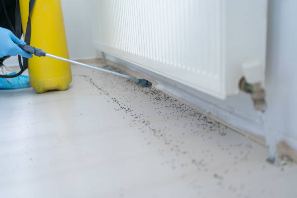 Pest Control Cost in Plantation, FL