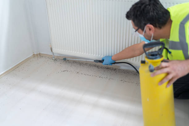 Best Exterminator Services  in Plantation, FL